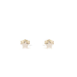 Sterling Silver star earrings