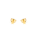 Gold filled star earrings