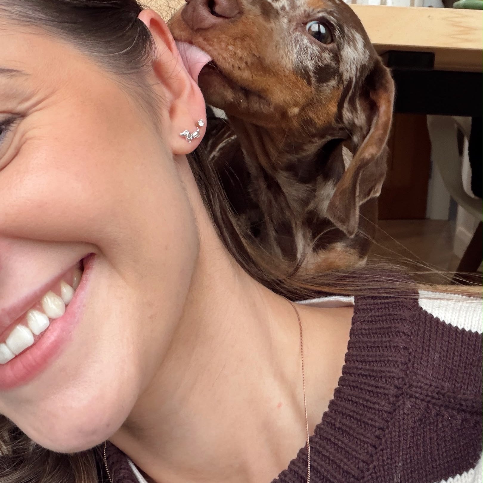 Dachshund earrings sterling silver